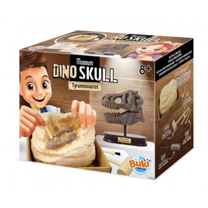 Avis Museum dino skull - t-rex Buki France 1