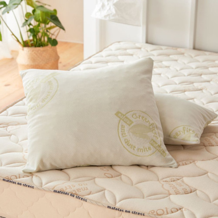 Avis Oreiller Anti acarien Greenfirst Matelas No Stress 2