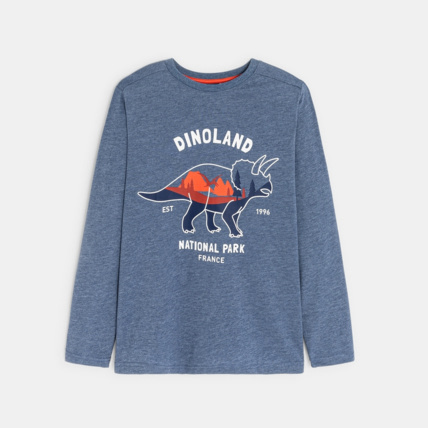 Avis T-shirt manches longues motif dinosaure bleu garçon OKAIDI 1
