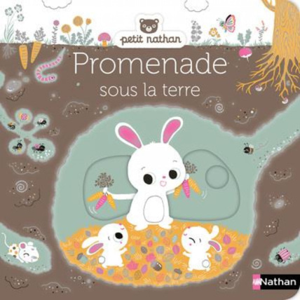 Avis Livre Promenade sous la terre NATHAN 1