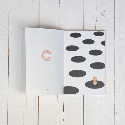 Avis Livre Abécédaire des émotions Petit Picotin 6