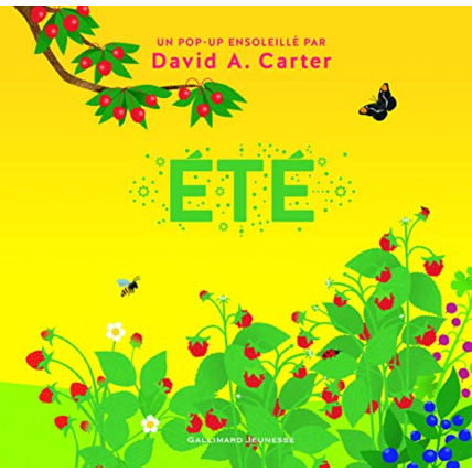 Avis Livre Ete GALLIMARD JEUNESSE 1