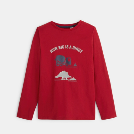 Avis T-shirt manches longues motif dinosaure rouge garçon OKAIDI 1