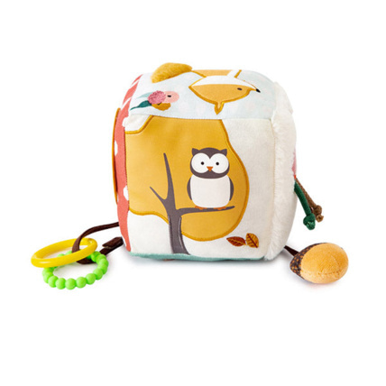 Avis Cube d'éveil - Forêt Little Big Friends 1