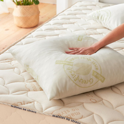Avis Oreiller Anti acarien Greenfirst Matelas No Stress 3