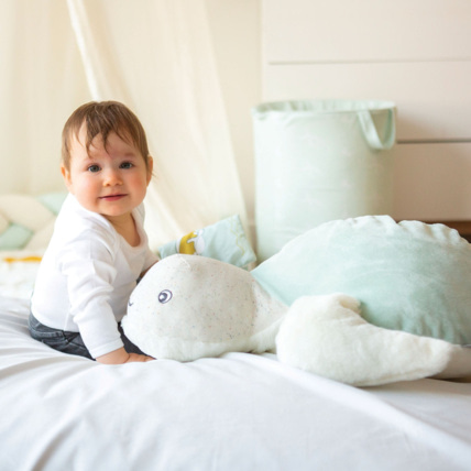 Avis Grande peluche Trois Kilos Sept 8