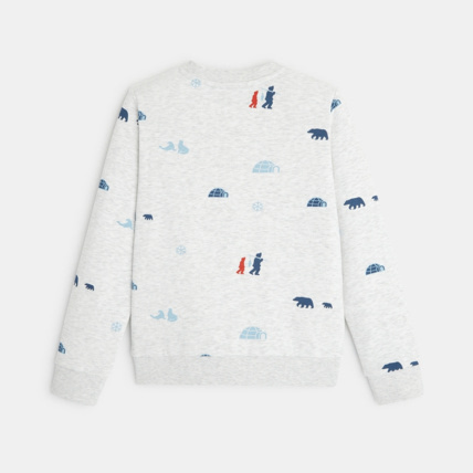 Avis Sweat-shirt imprimé motif sports d'hiver blanc garçon OKAIDI 3