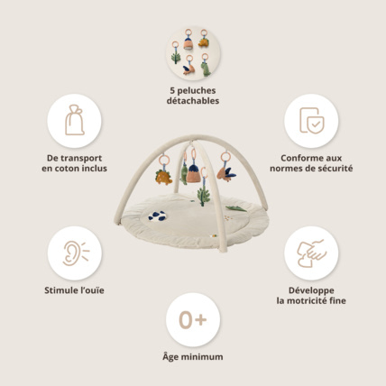 Avis Arche D'éveil Pour «Dino» Petite Amélie 3