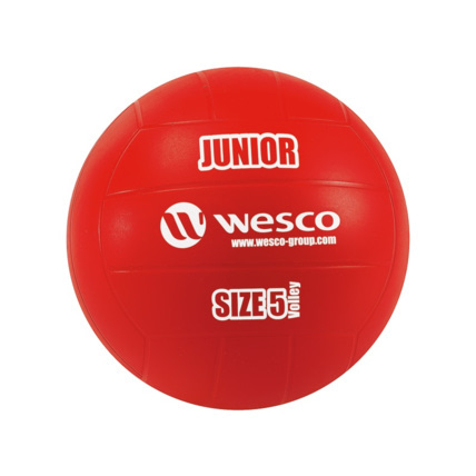 Avis Ballon de volley-ball Junior Wesco 4