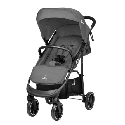 Avis Duo poussette et siège auto Oslo 2 ASALVO 2