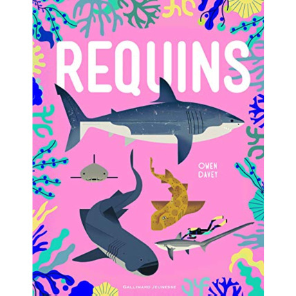 Avis Livre Requins GALLIMARD JEUNESSE 1