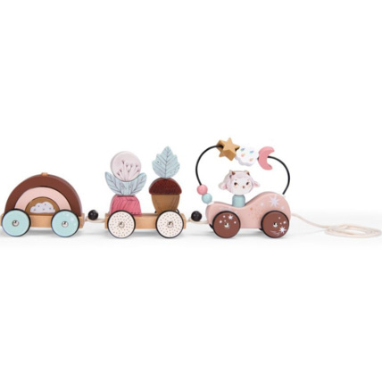 Avis Train d'activités à tirer Après la pluie moulin Roty 1