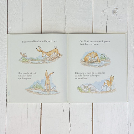 Avis Livre Veux-tu être mon ami Petit Picotin 3