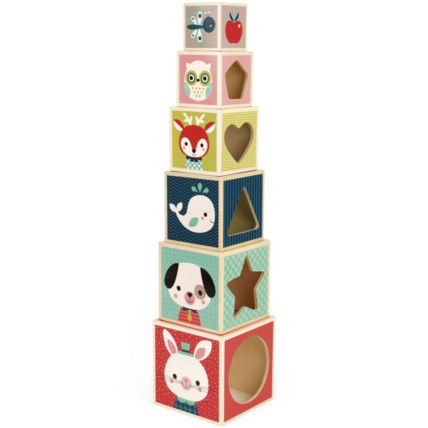 Avis Cubes empilables Baby Forest JANOD 1