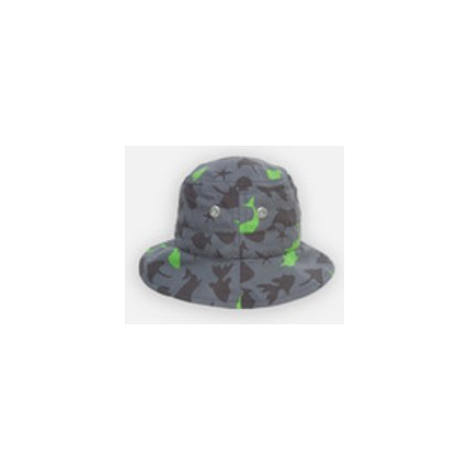 Avis Fish Chapeau Archimède NOUKIE'S 1