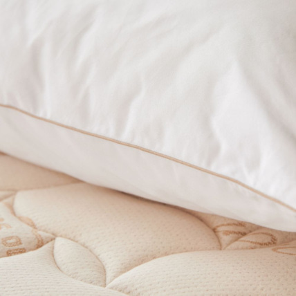 Avis Oreiller naturel en Plume et Duvet Matelas No Stress 4