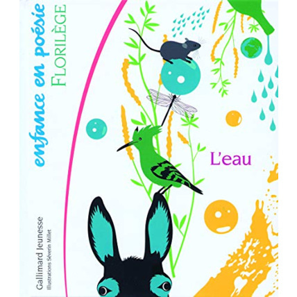 Avis Livre L'Eau GALLIMARD JEUNESSE 1