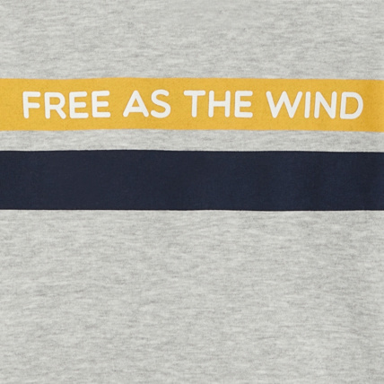 Avis Sweat-shirt à message "Free as the wind" gris garçon OKAIDI 3