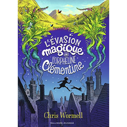 Avis Livre L'Evasion Magique De L'Orpheline Clementine GALLIMARD JEUNESSE 1