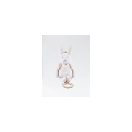 Avis Mini-musical Veloudoux Pili NOUKIE'S 1