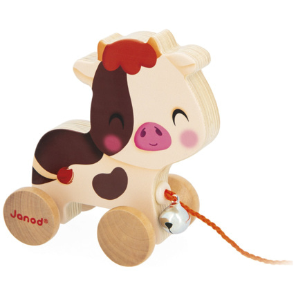 Avis Vache à promener Ferme JANOD 1