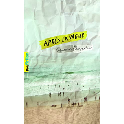 Avis Livre Apres La Vague GALLIMARD JEUNESSE 1