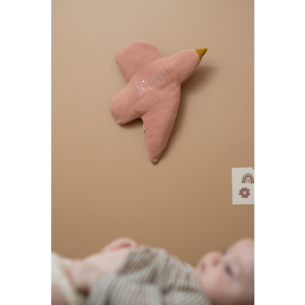 Avis Pedro l'oiseau Petit Picotin 3