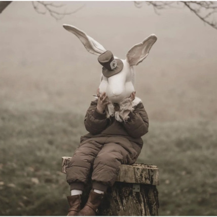 Avis Trophée mural enfant en lin, Lapin Pays des Merveilles Sevira Kids 7