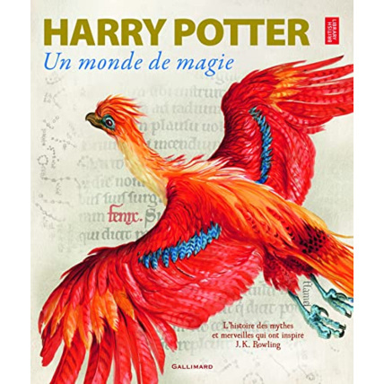 Avis Livre Harry Potter Un Monde De Magie GALLIMARD JEUNESSE 1