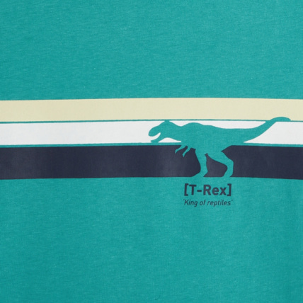 Avis T-shirt manches courtes motif dinosaure bleu garçon OKAIDI 3