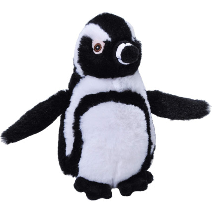 Avis ECOKINS PENGUIN BLACK FOOT WILD REPUBLIC 1