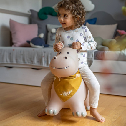 Avis Animal sauteur gonflable KINDSGUT 8