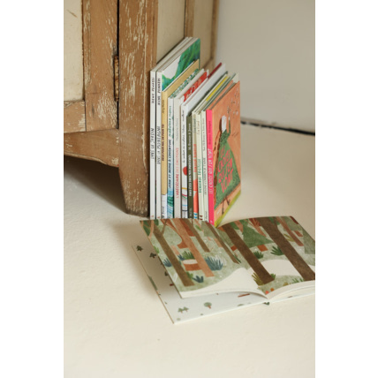 Avis Livre La bibliothèque de la forêt Petit Picotin 2