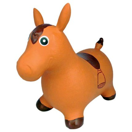 Avis Cheval sauteur CAP 1