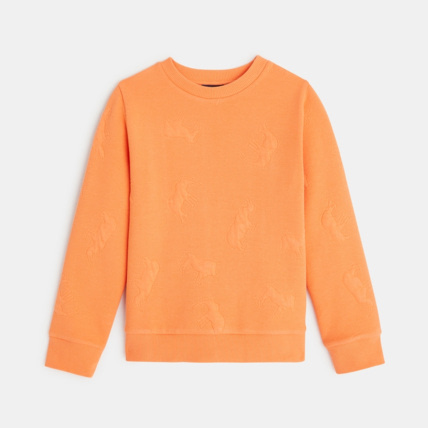 Avis Pull maille fantaisie animaux en relief orange garçon OKAIDI 1