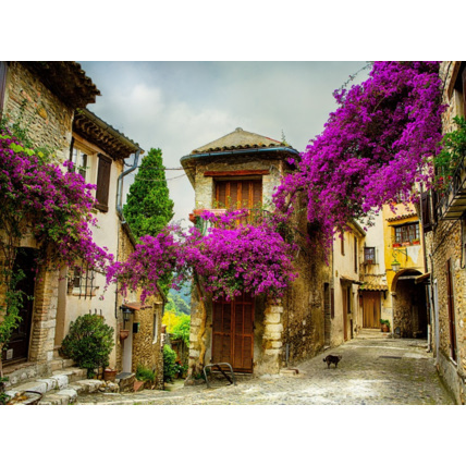 Avis Puzzle Provence, France GRAFIKA 1