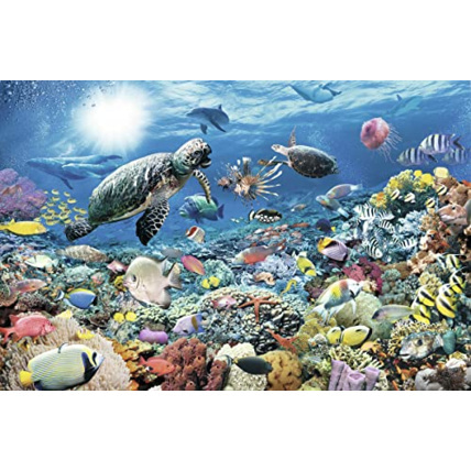 Avis Puzzle - Monde marin - 5000 pièces RAVENSBURGER 1