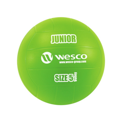 Avis Ballon de volley-ball Junior Wesco 3