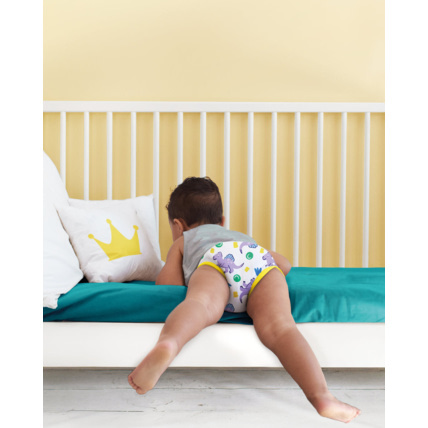 Avis Culotte d'apprentissage lavable révolutionnaire BAMBINO MIO 8