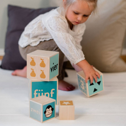 Avis Cubes gigognes animaux et chiffres en bois KINDSGUT 2