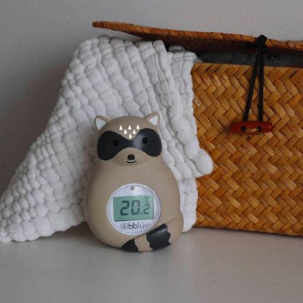 Avis Thermomètre de bain et d'ambiance Rakü Bblüv 2