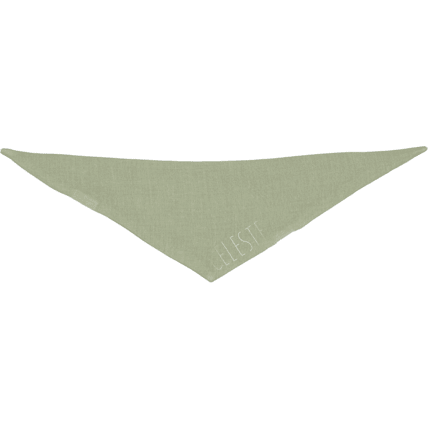 Avis Edgar le foulard Petit Picotin 5