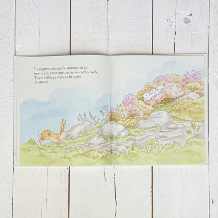 Avis Livre Veux-tu être mon ami Petit Picotin 4