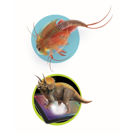 Avis Triops et le monde des dinosaures Clementoni 5