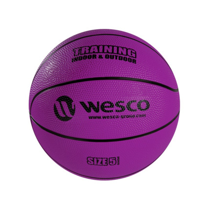 Avis Ballon de basketball training indoor - outdoor Wesco 6