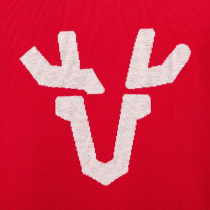 Avis Pull à motif élan picto rouge garçon OKAIDI 2