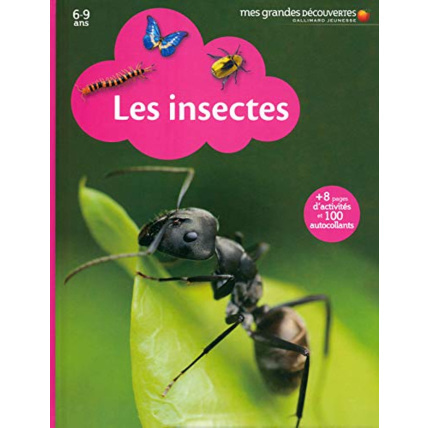 Avis Livre Les Insectes GALLIMARD JEUNESSE 1