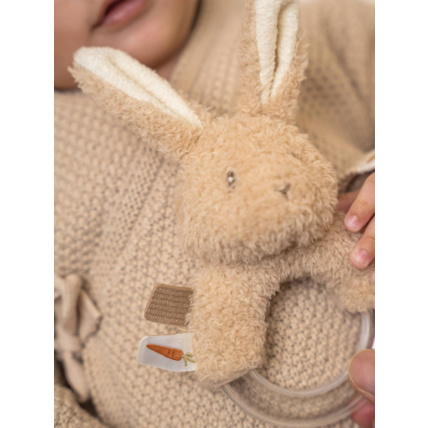 Avis Hochet LITTLE DUTCH 3