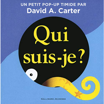Avis Livre Qui Suis-Je ? GALLIMARD JEUNESSE 1