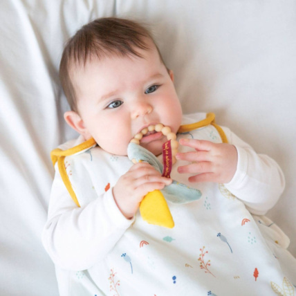 Avis Anneau de dentition Trois Kilos Sept 3